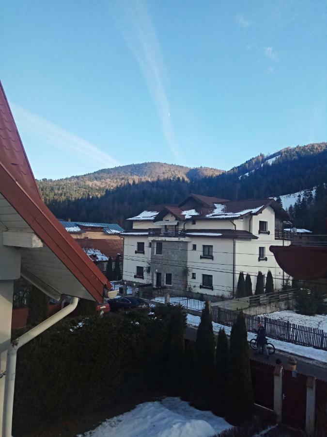 Casa Alexandru Hotel Azuga Eksteriør billede