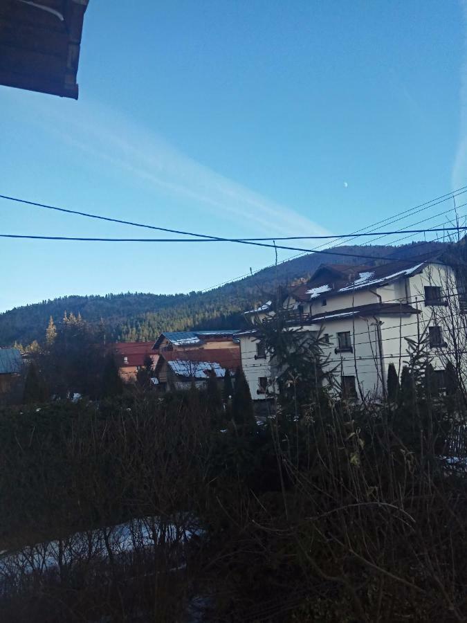 Casa Alexandru Hotel Azuga Eksteriør billede